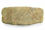 Fossil Ichthyosaur (Brachypterygius) Vertebra - England #354090-2